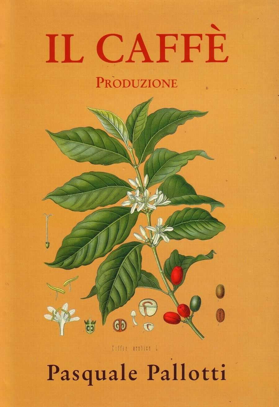 caffè e produzione