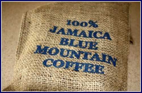 jamaica blue mountain