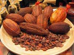 cacao