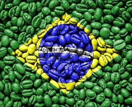 Brasile Mondo nuovo amarelo