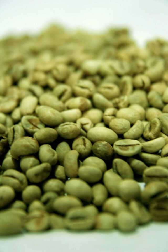 Il caffè verde, un dimagrante naturale