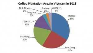 Coffee plantation area