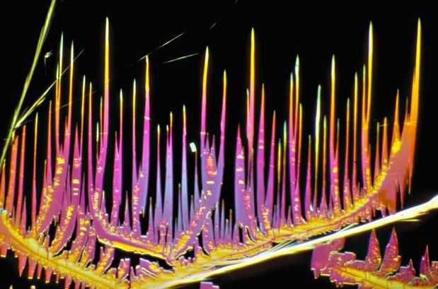 caffeina cristalli al microscopio elettronico