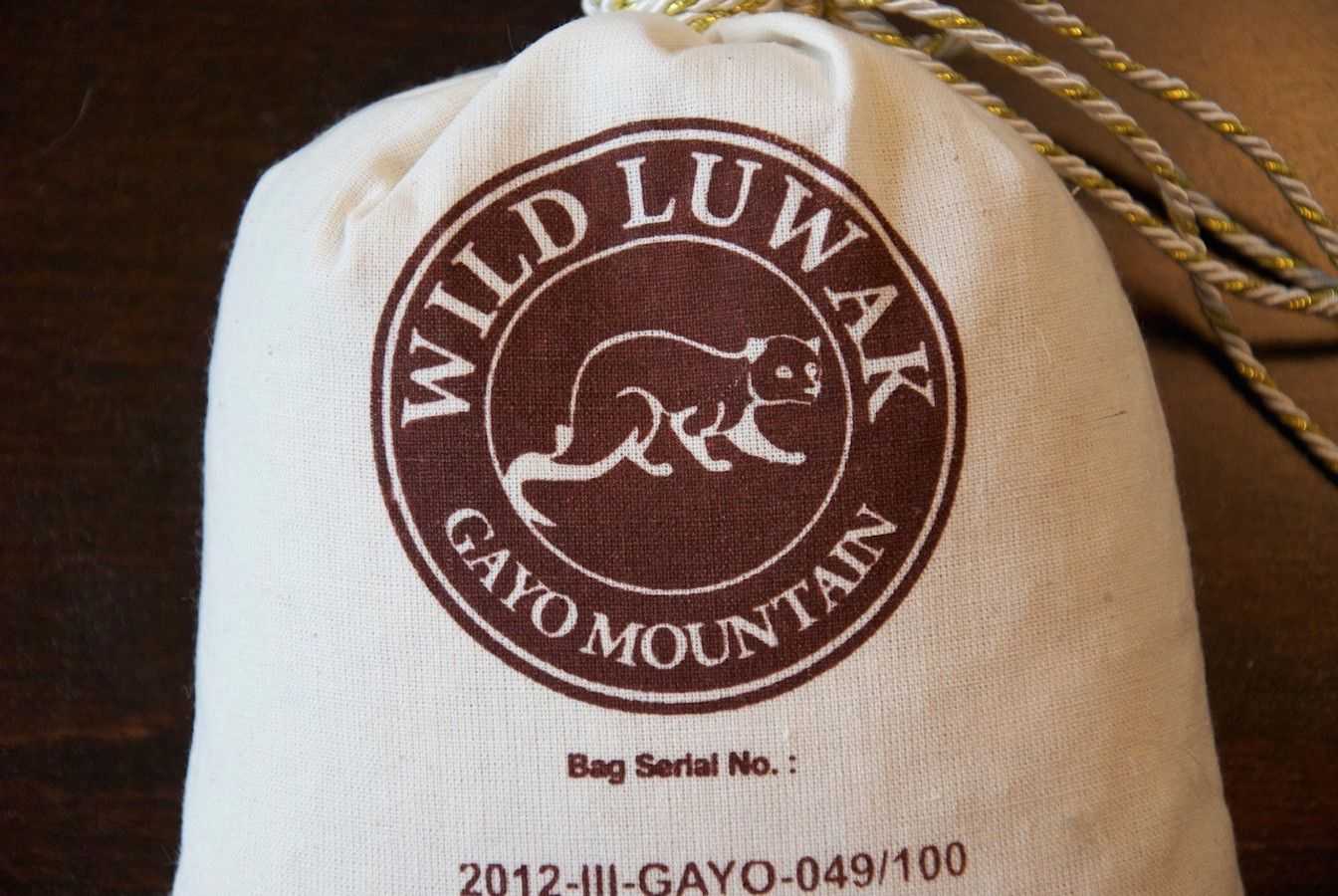 kopi luwak caffè zibetto morando