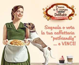 cane al bar concorso