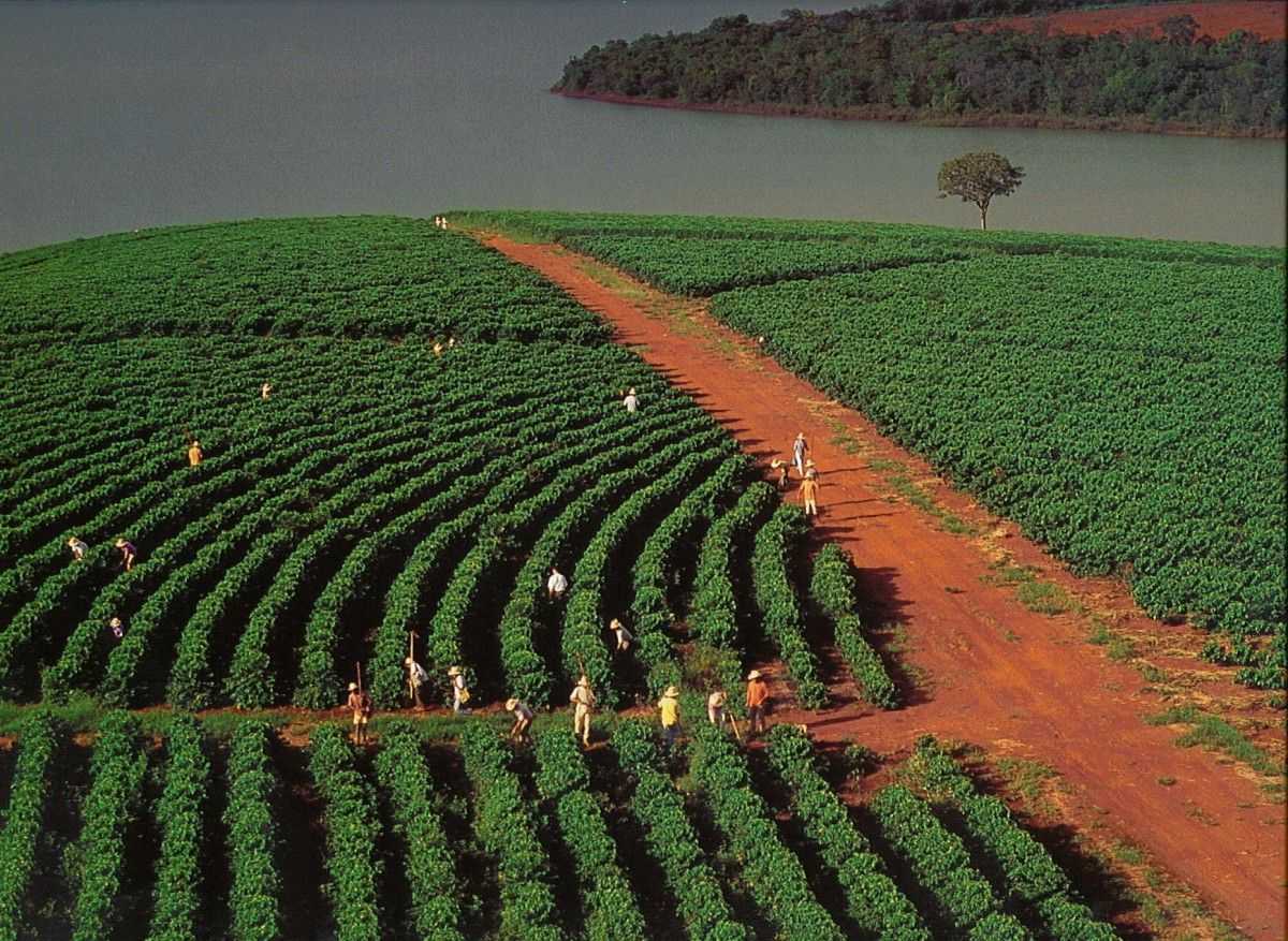 Conab raccolto brasiliano