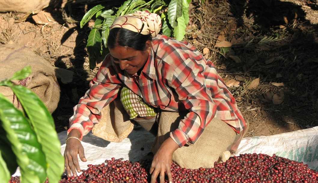 caffè raigode