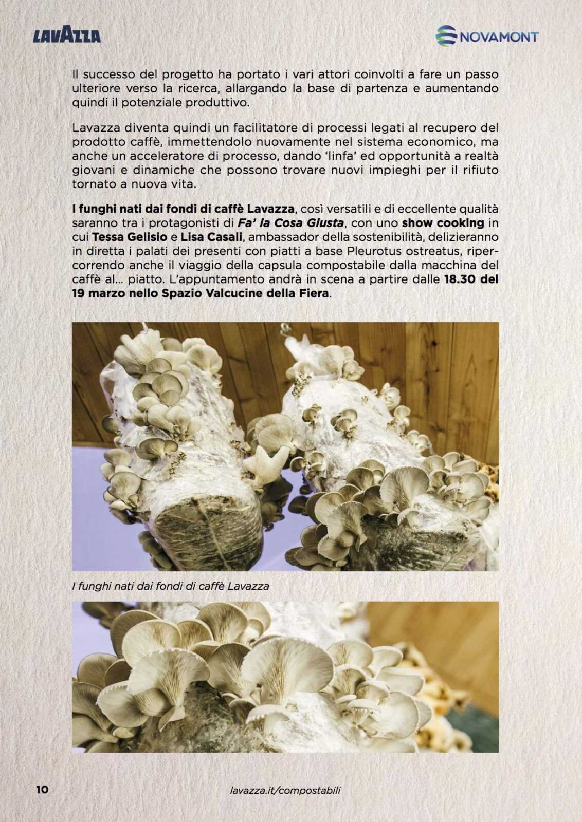 lavazza progetto funghi dal caffè