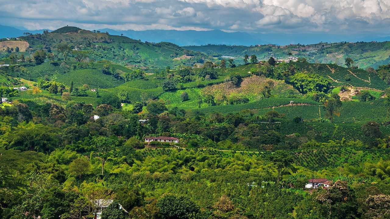 colombia