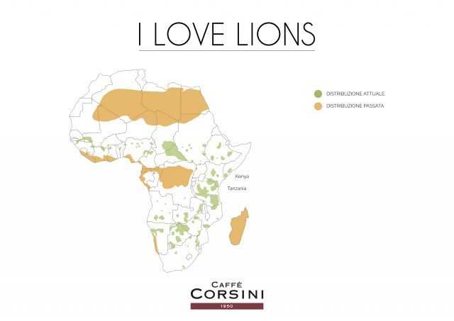 love lions map