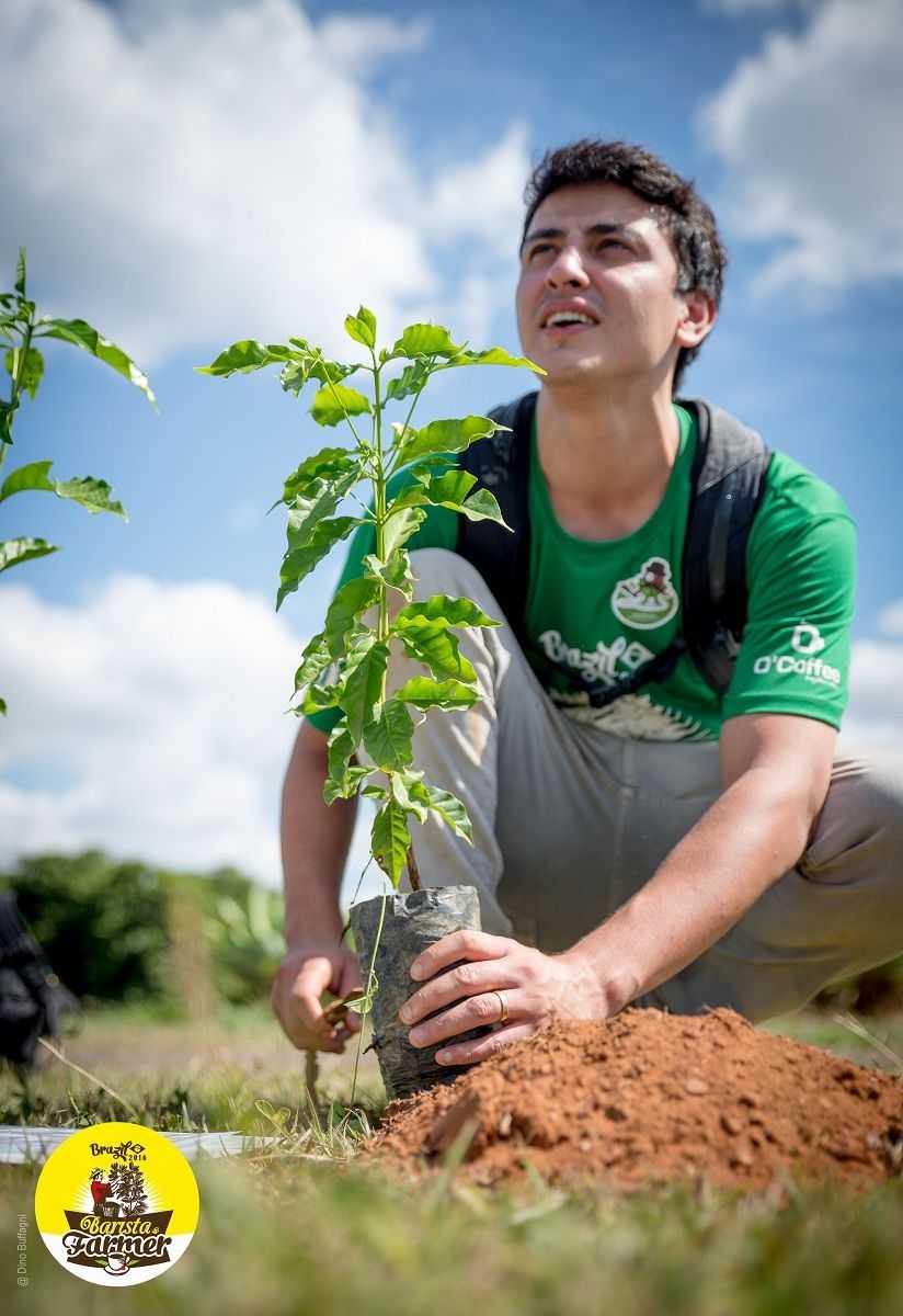 il barista brasiliano Rapahel