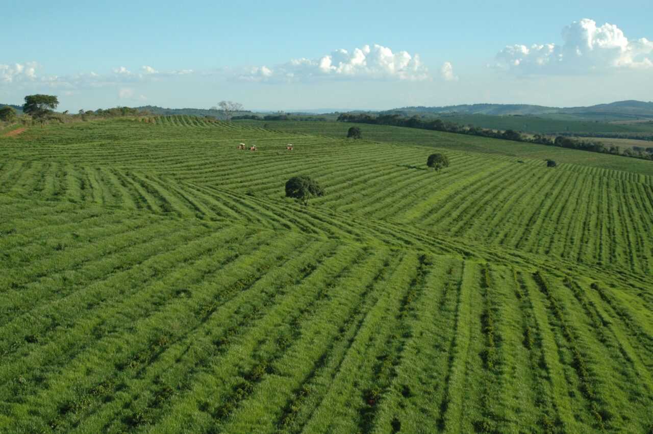 minas gerais belo horizonte