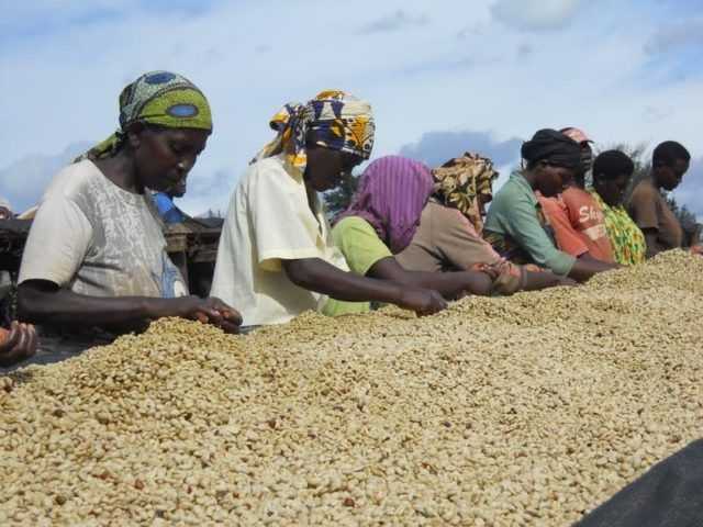 SCAE emancipazione femminile
