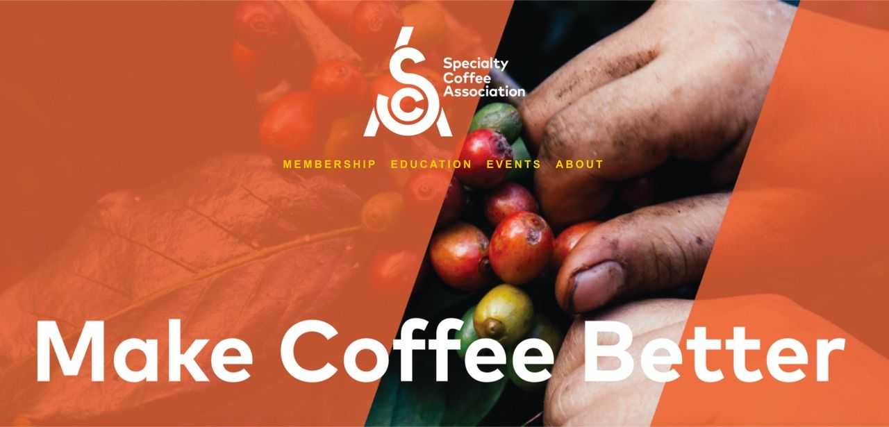 sca specialty coffee association