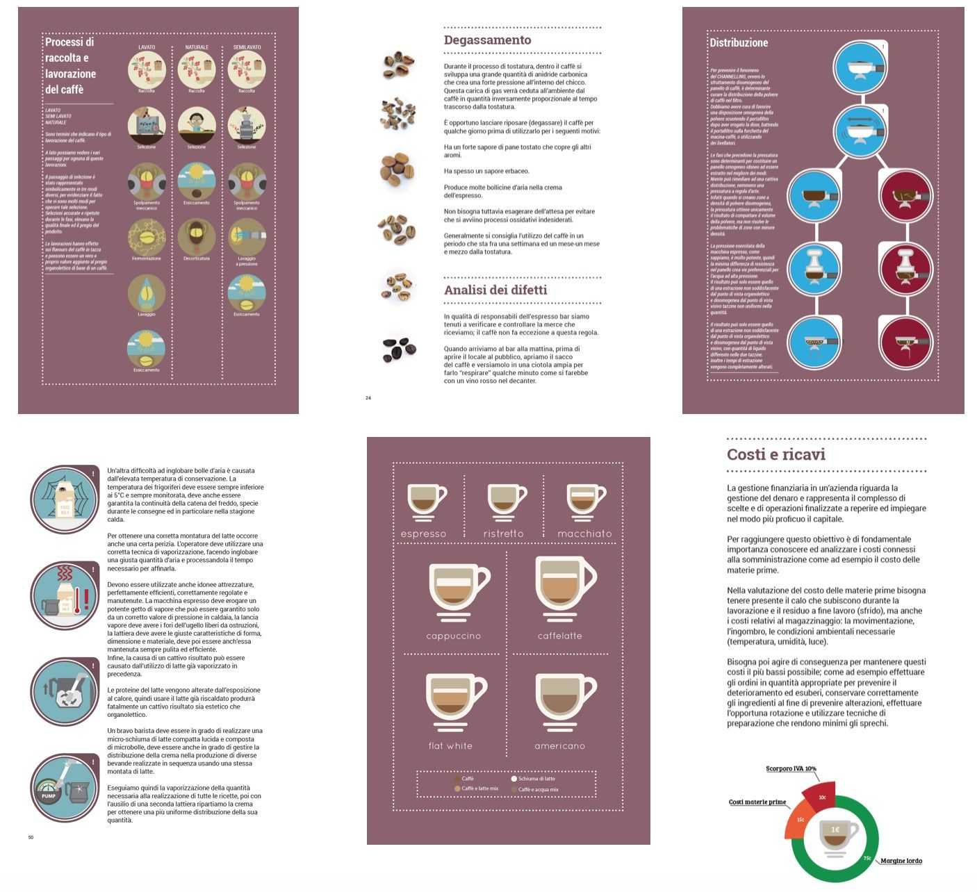 scae italia manuale