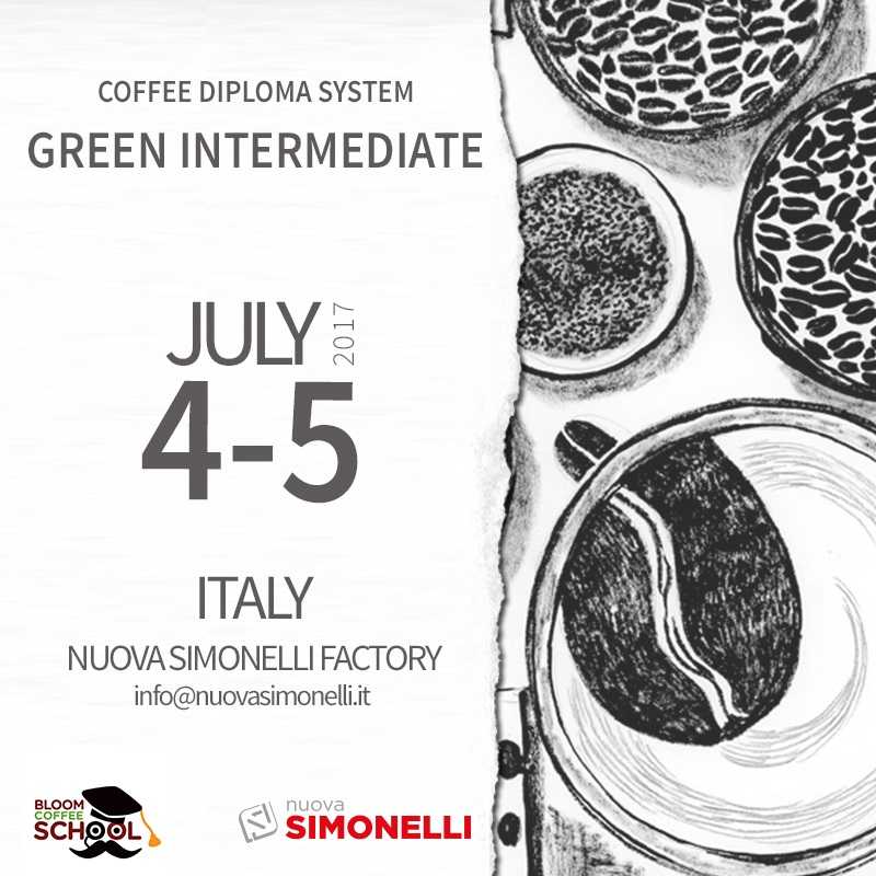 nuova simonelli green intermediate