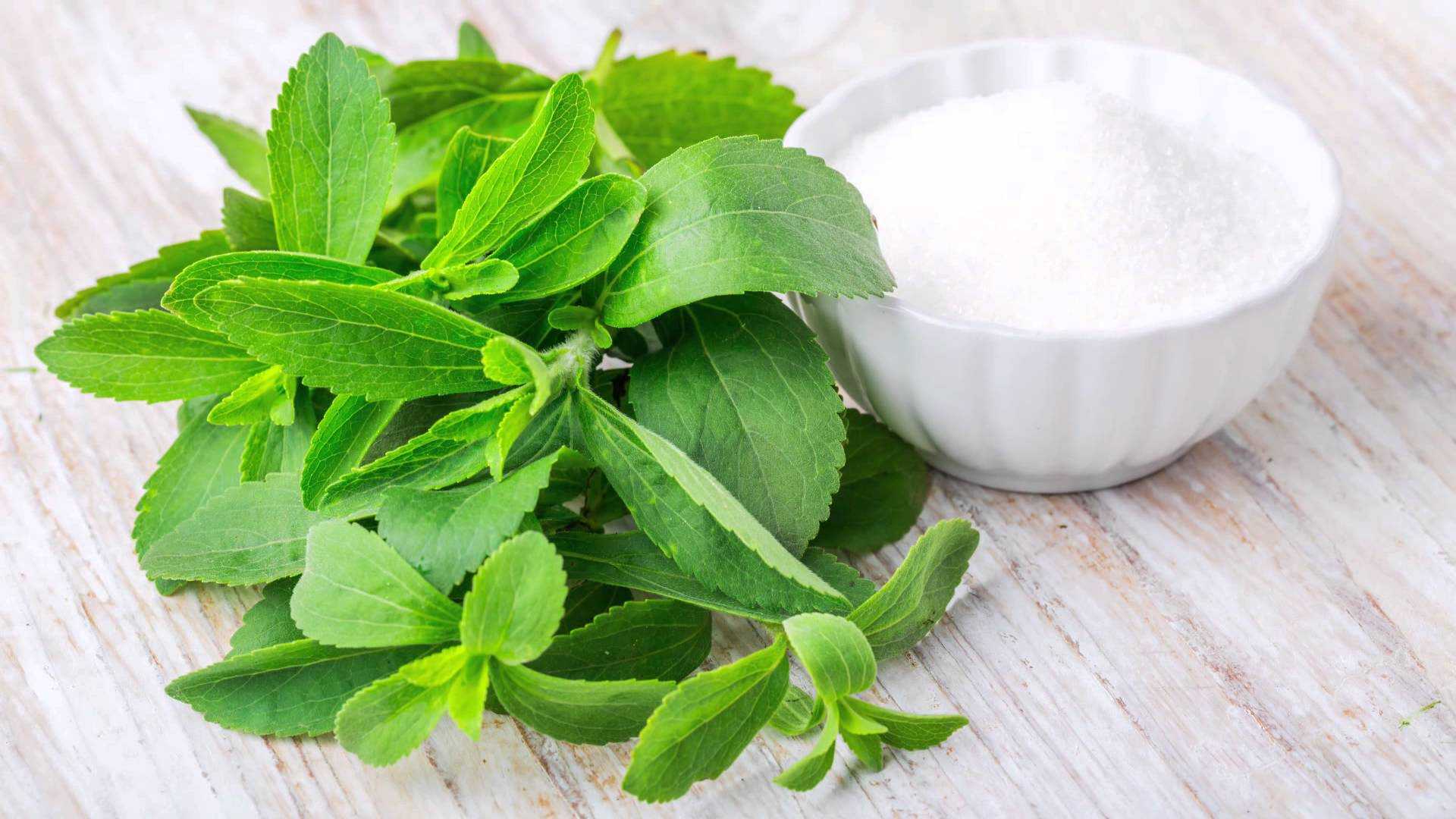 dolcificanti stevia zucchero