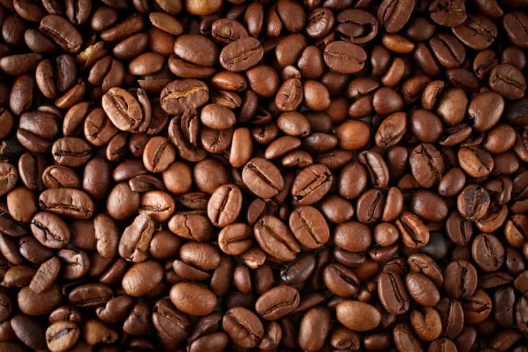 In Israele più caffè espresso di qualità dall’Italia, ma i prezzi alti rischiano di lanciare imitazioni locali