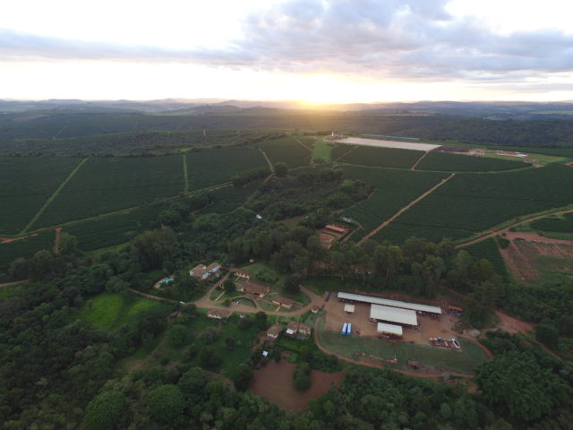 Fazenda De Lagoa, la piantagione di NKG Bero in Brasile