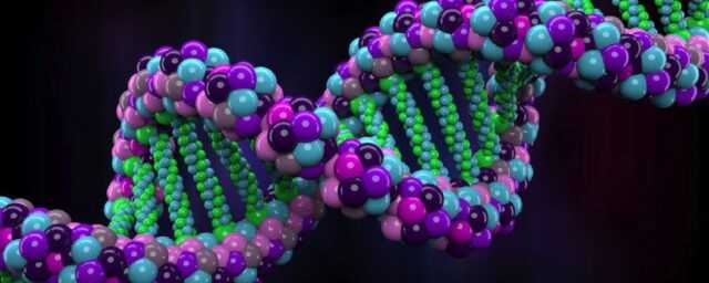 il caffè modifica il dna muscolare