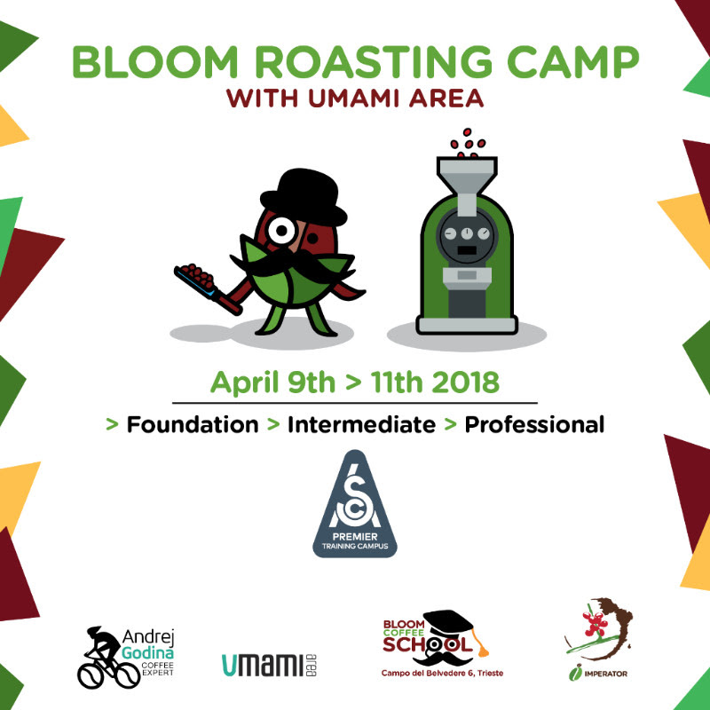 bloom roasting camp