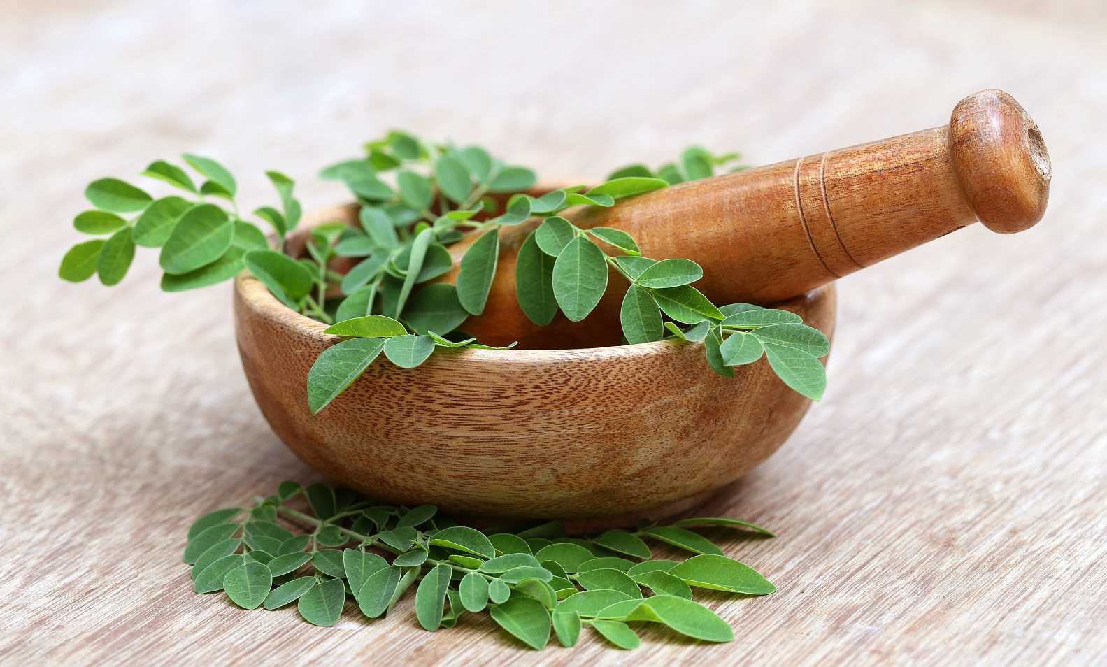 moringa