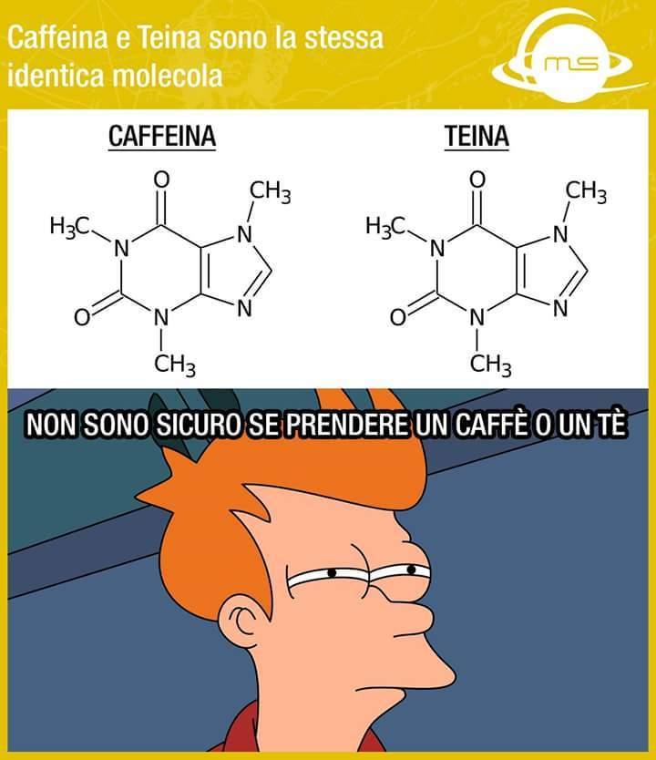 caffeina e teina sono la stesso cosa
