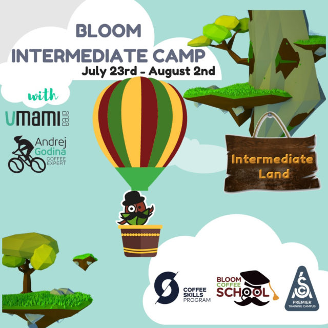 Bloom Intermediate Camp