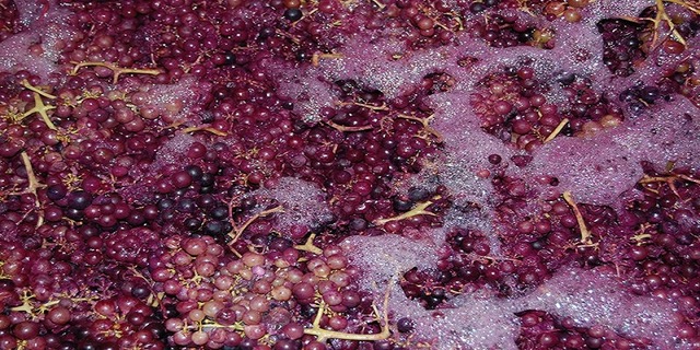 Macerazione carbonica nel vino La Chais Privé