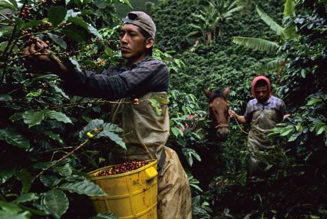 Colombia cambiamento climatico