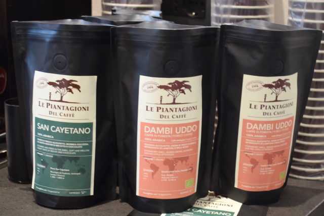 le piantagioni del caffè