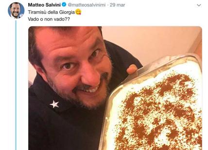 salvini