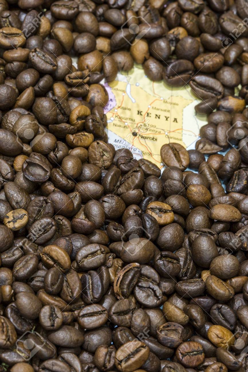 kenya istituto di ricerca sul caffè