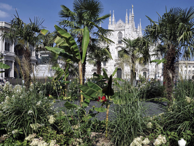 Le palme di Starbucks restano per altri tre anni in Piazza Duomo a Milano