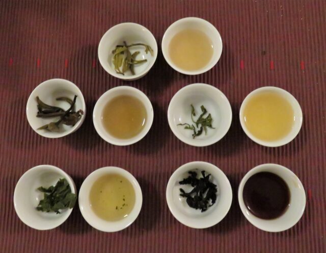 tè giornata specialty tea
