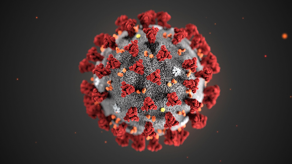 Ecco come è fatto il Coronavirus visto al microscopio elettronico