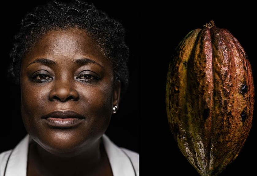le nuove donne del cacao