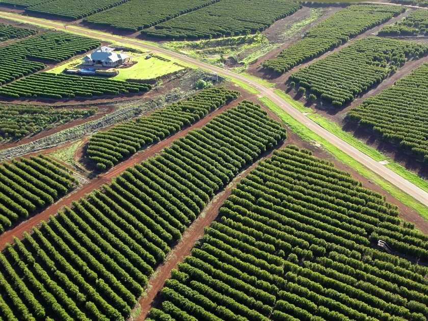 Hawaii terroir