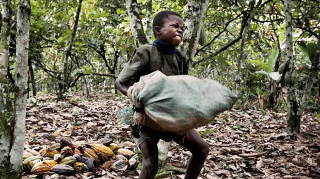 lavoro minorile caffè cacao