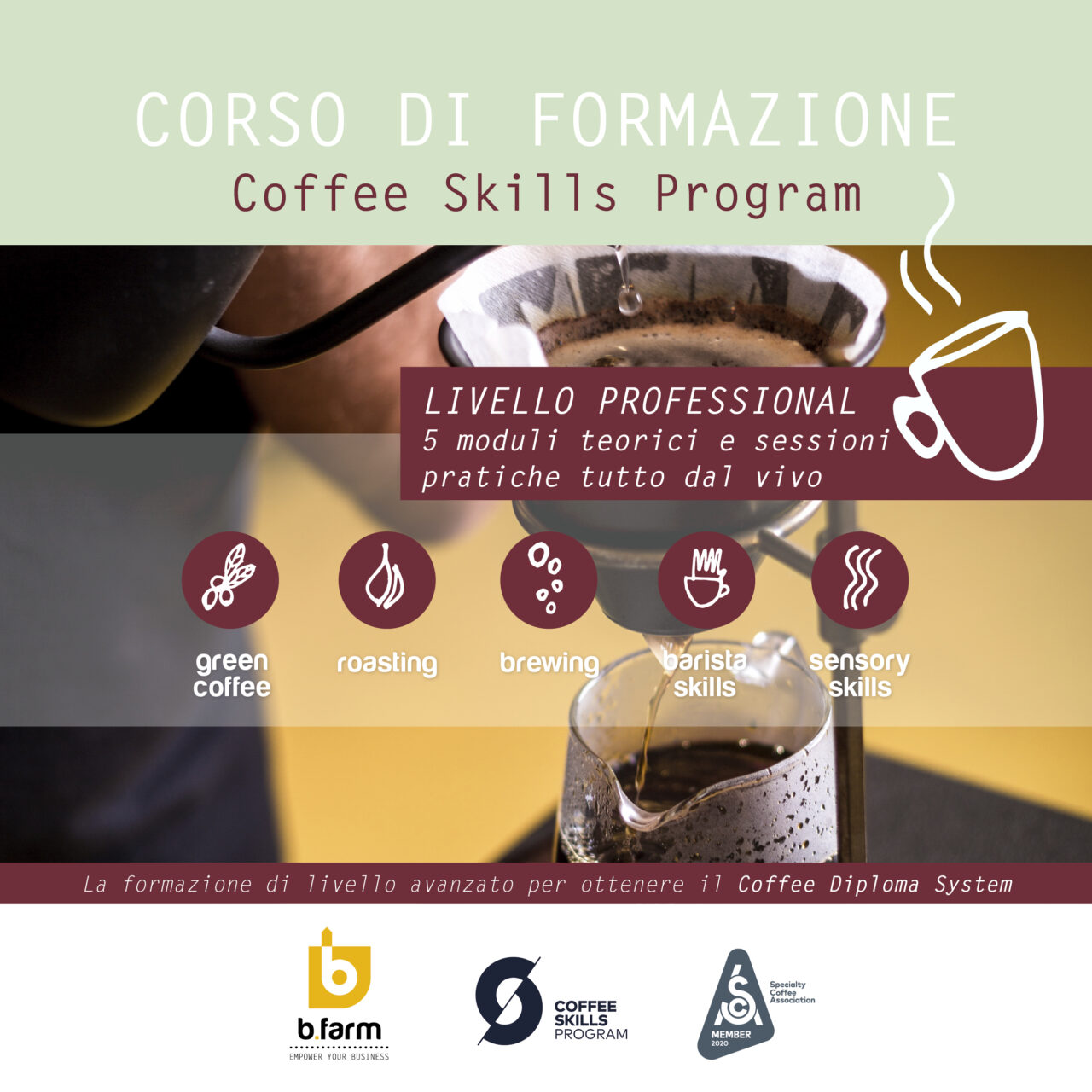 coffee diploma systems