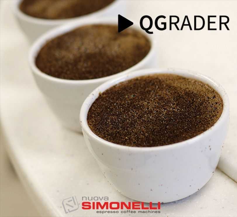 Q grader nuova simonelli