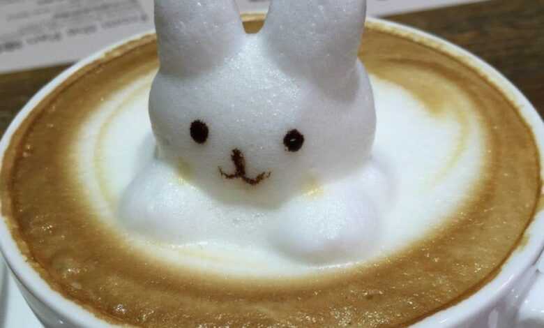 cappuccino 3d