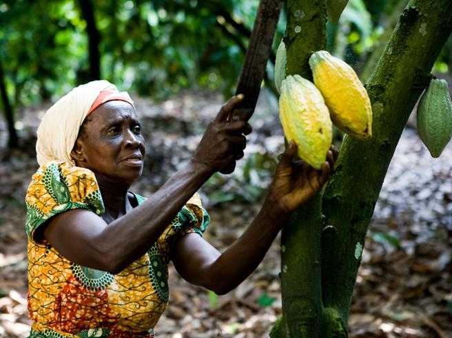 ghana cioccolato