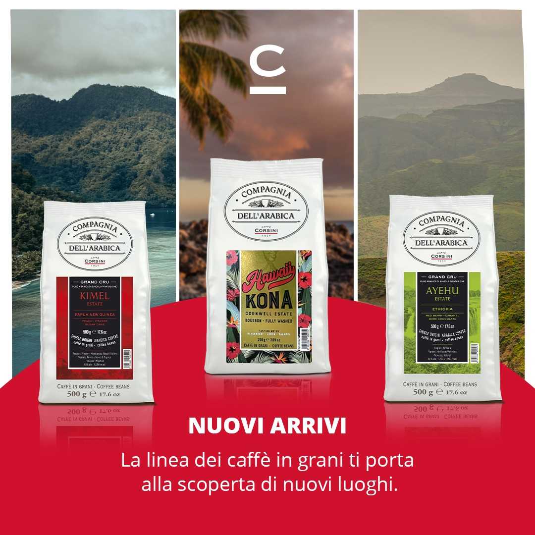 caffè corsini compagnia dell'arabica