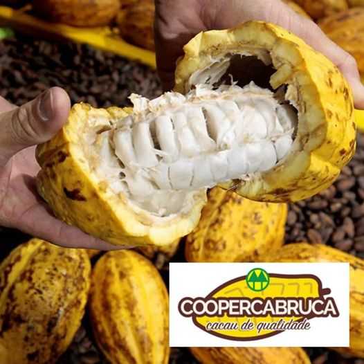 CooperCabruca