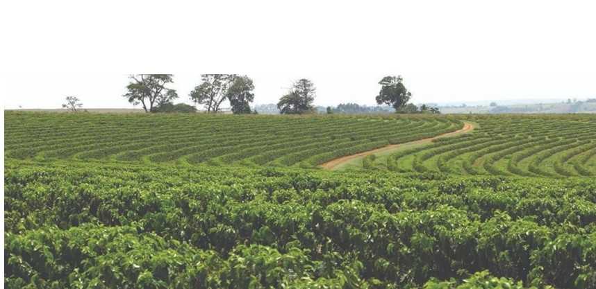 La Fazenda Três Meninas minas gerais