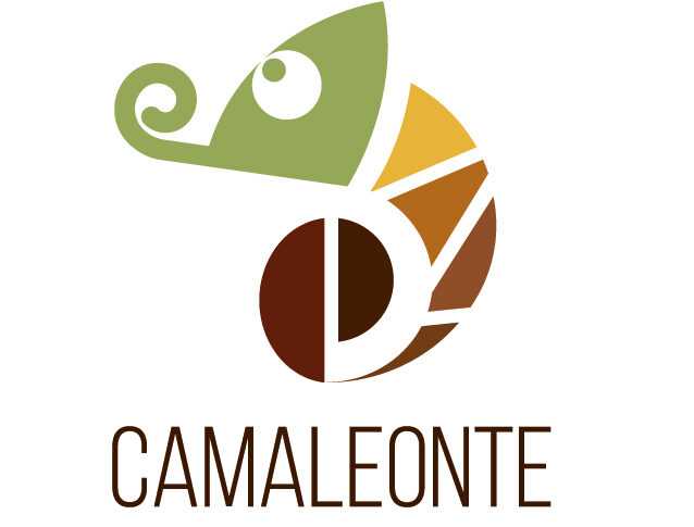 guida del camaleonte