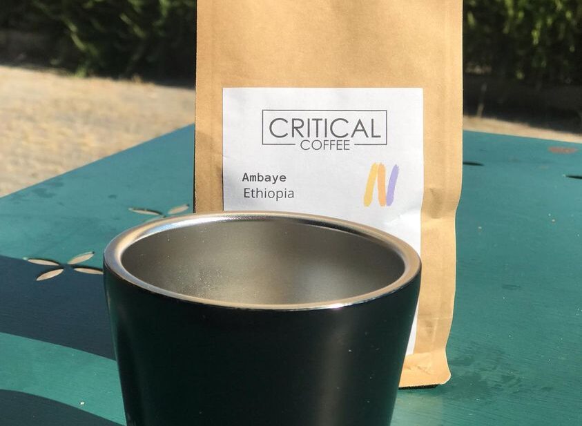 critical coffee nodari erminia
