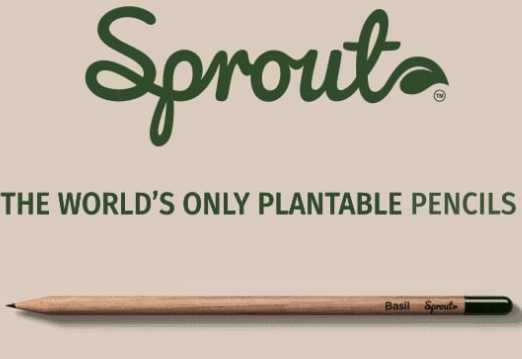 sprout