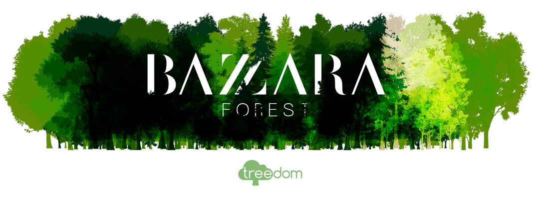 Bazzara Forest